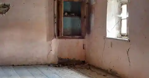 The House’s Quirks