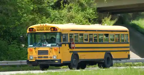 The Aftermath: Normalcy Returns