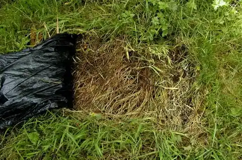 Strange Plastic