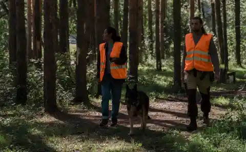 Scouring The Forest