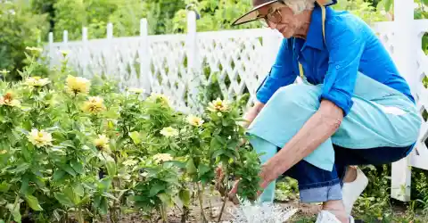 A Legacy of Care and Friendship 