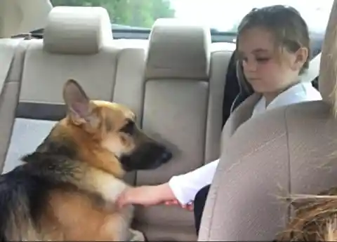 Race To The Vet