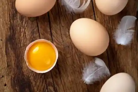 What Determines Egg Shell Thickness?