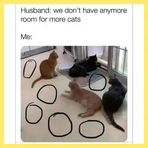 Husbands Are Always Wrong