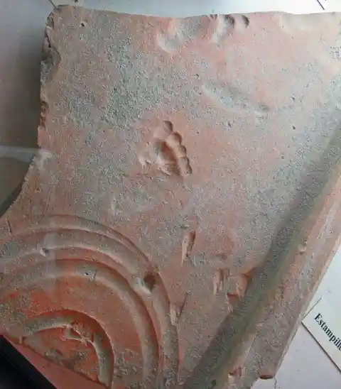 Roman Toddler Footprint