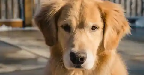 Max’s Strange Behavior Continues