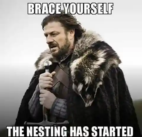 The Nesting Instinct