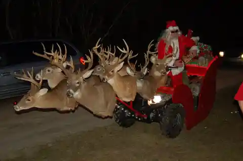 Reindeer Crossing