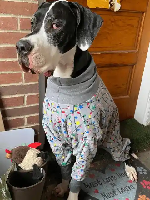 Unhappy with the Christmas Sweater