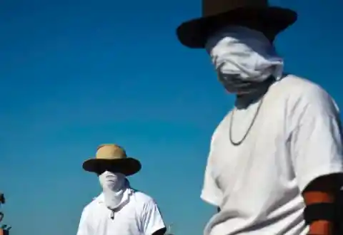 The Sinaloa Cowboys