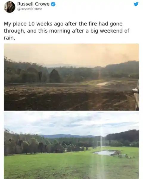 How Fire and Rain Balance Each Other