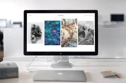 The Website