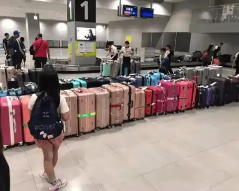 Rainbow Coded Luggage