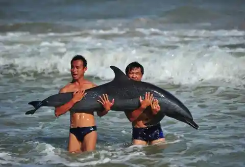 Comme un poisson hors de l'eau