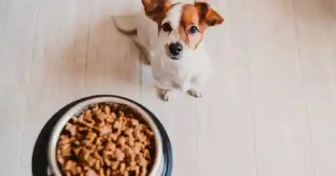 Half Her Portion