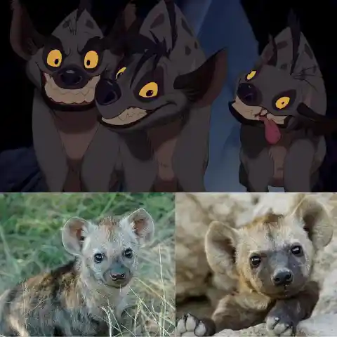 A Hyena Expert Sued Disney!