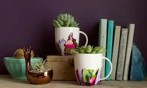 Colorful Mugs for Coffee and Succulents