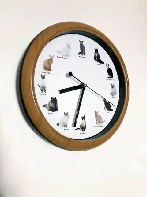 Kitty Wall Clock