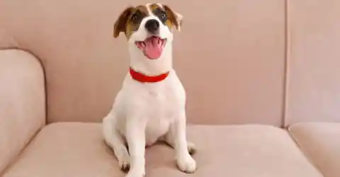 The Lesson That Stayed Forever