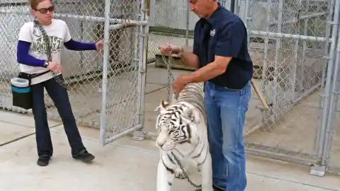 Reuniting for Good