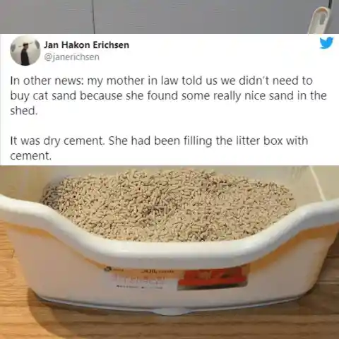 Nice Cat Sand