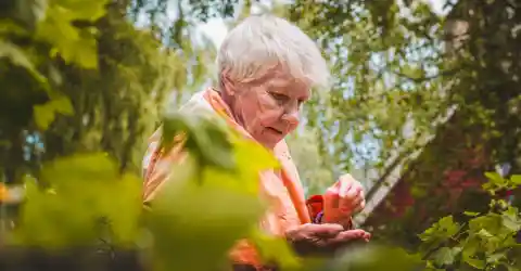 Ruth’s Reflections 