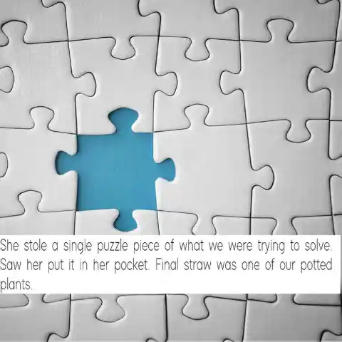 Missing Puzzle Piece