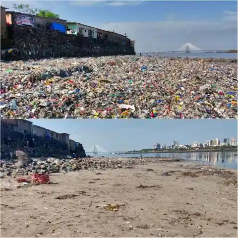 Cleaning Up a Mumbai Beach