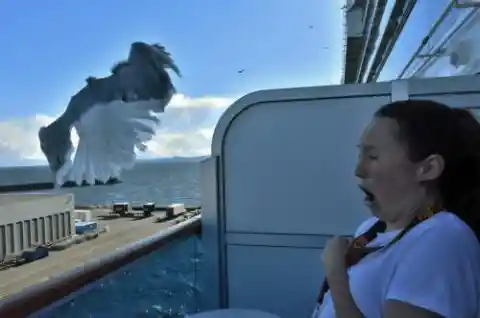 Terror on a Cruise Ship