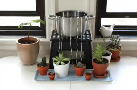 Watering Yarn Solution