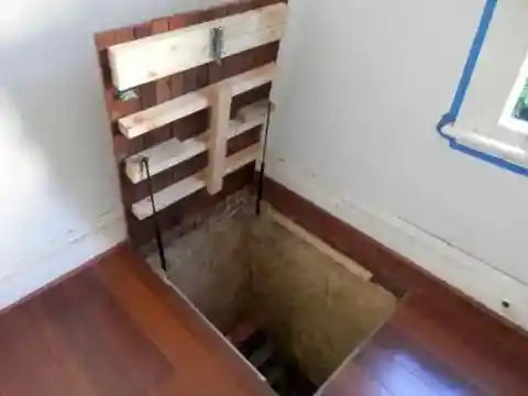 Surprise