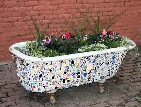 Even Plants Need a Good Soak