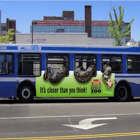 Snakes on a Bus