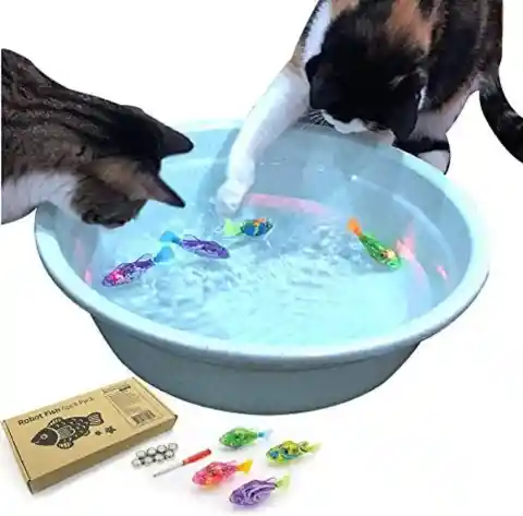 An Interactive Cat Toy