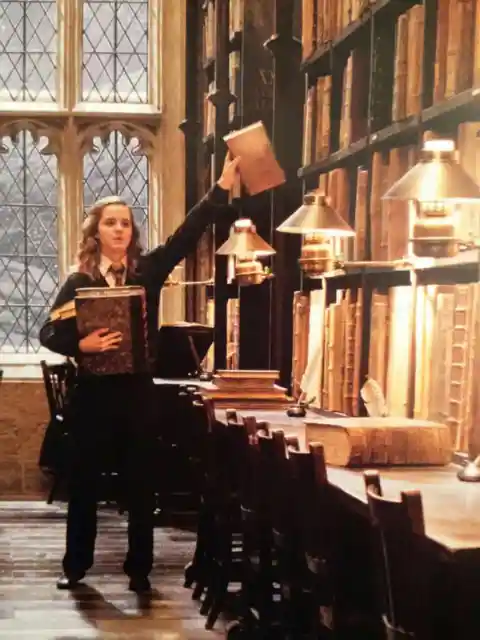 The Perfect Librarian