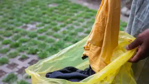 Inspecting The Trash Bag