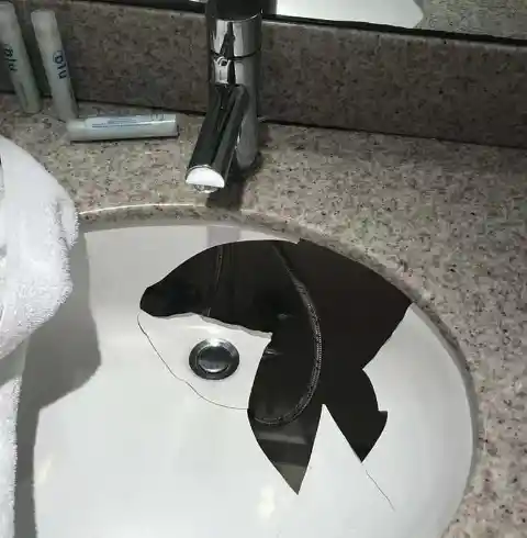 Broken Sink? Not My Problem!