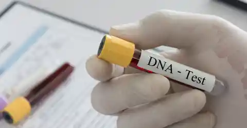 The DNA Test Decision