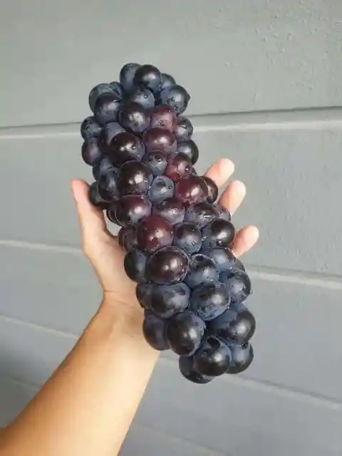 Grapes On The Cob