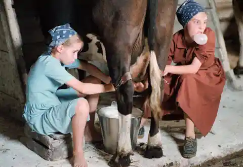 Die amische Gesellschaft agiert wie eine Berufsschule