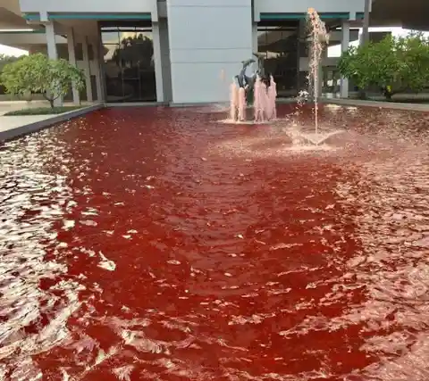 Red Fountain