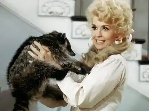 Animals On Set