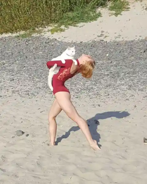 Cats On The Beach