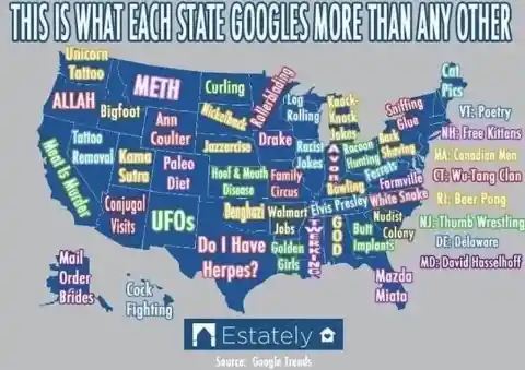 What Each State Googles