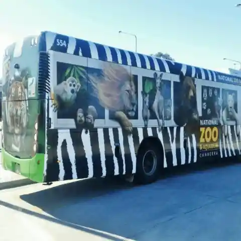 A Zoo on Wheels