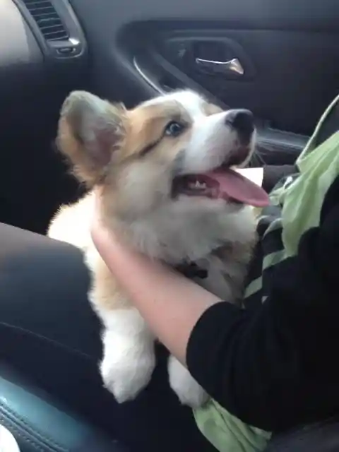 Booker's First Ride