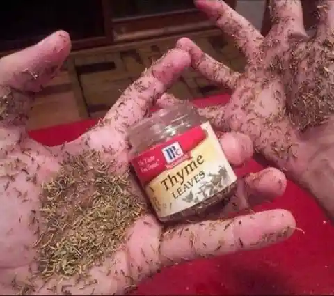 An Overabundance of Thyme