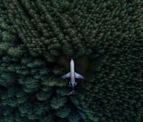 This Abandoned Plane