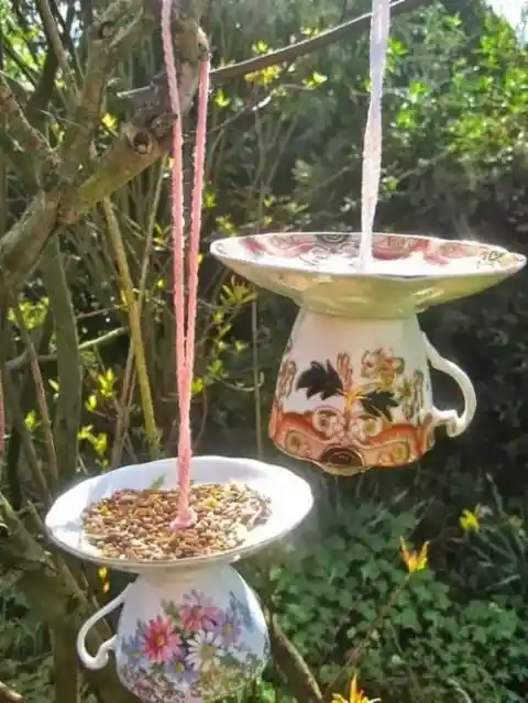 Garden Party For Feathered Friends