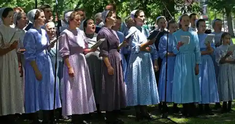 Les Amish et les Mennonites ne sont pas les mêmes.